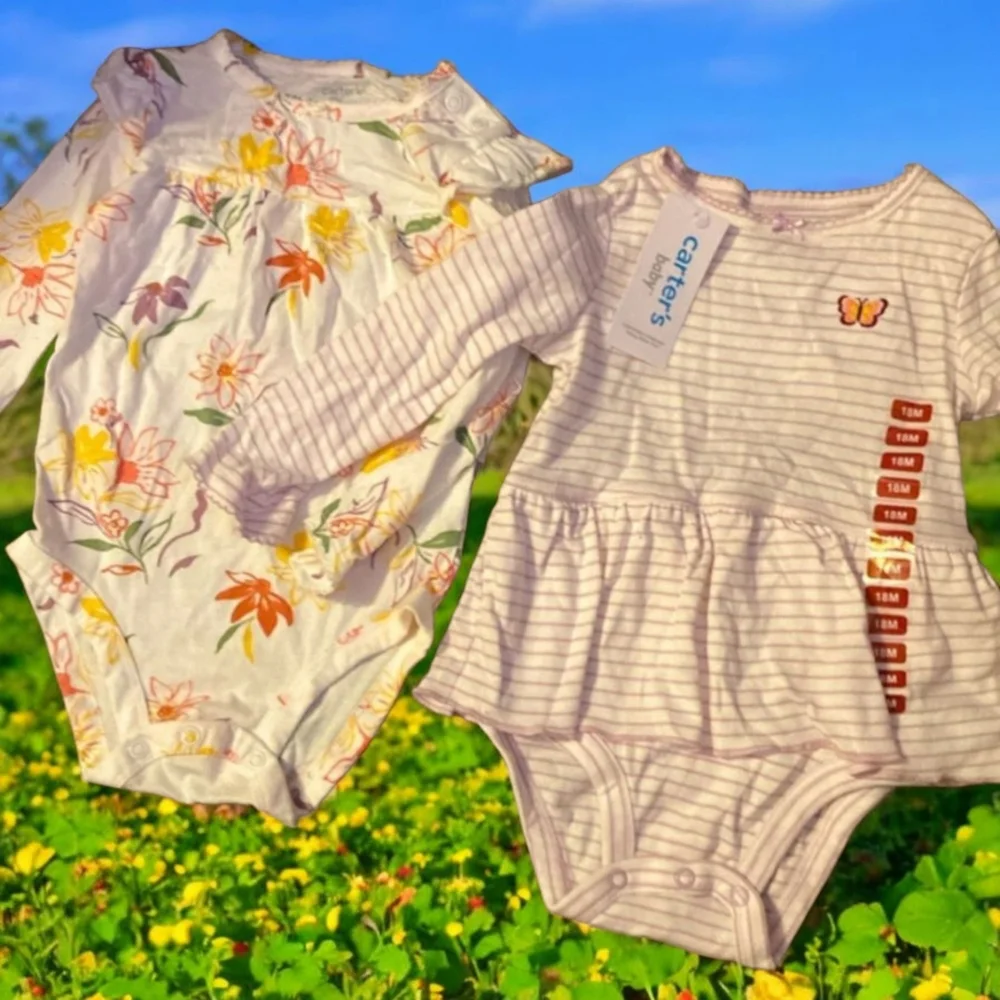 Carter's Floral and Striped Butterfly Girl Onesies Set of 2, 3-Snaps, 18 mos